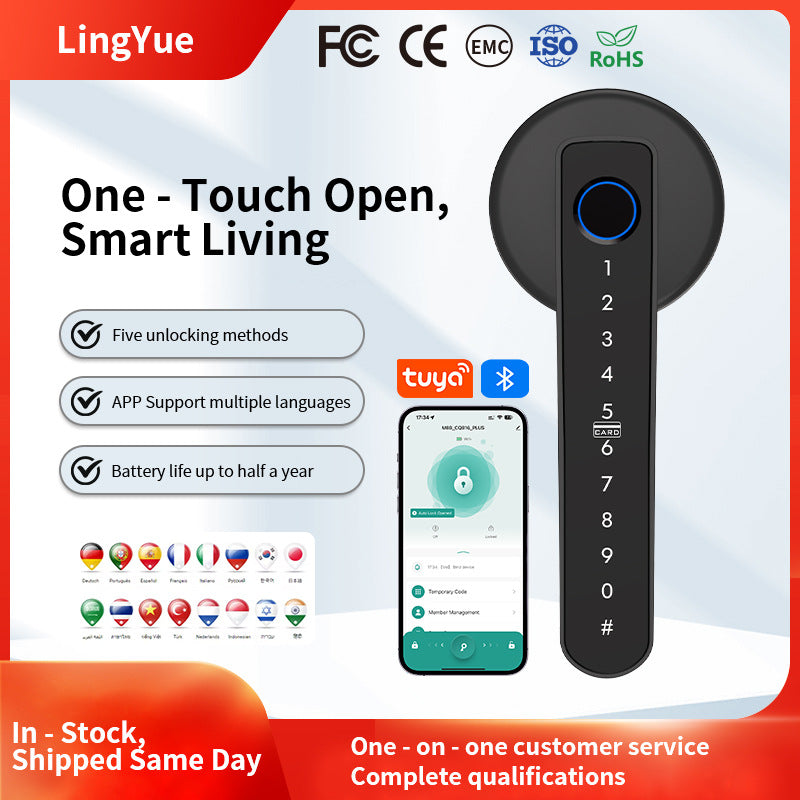 Graffiti Bluetooth Smart Door Lock For Home And Office, With Fingerprint Recognition