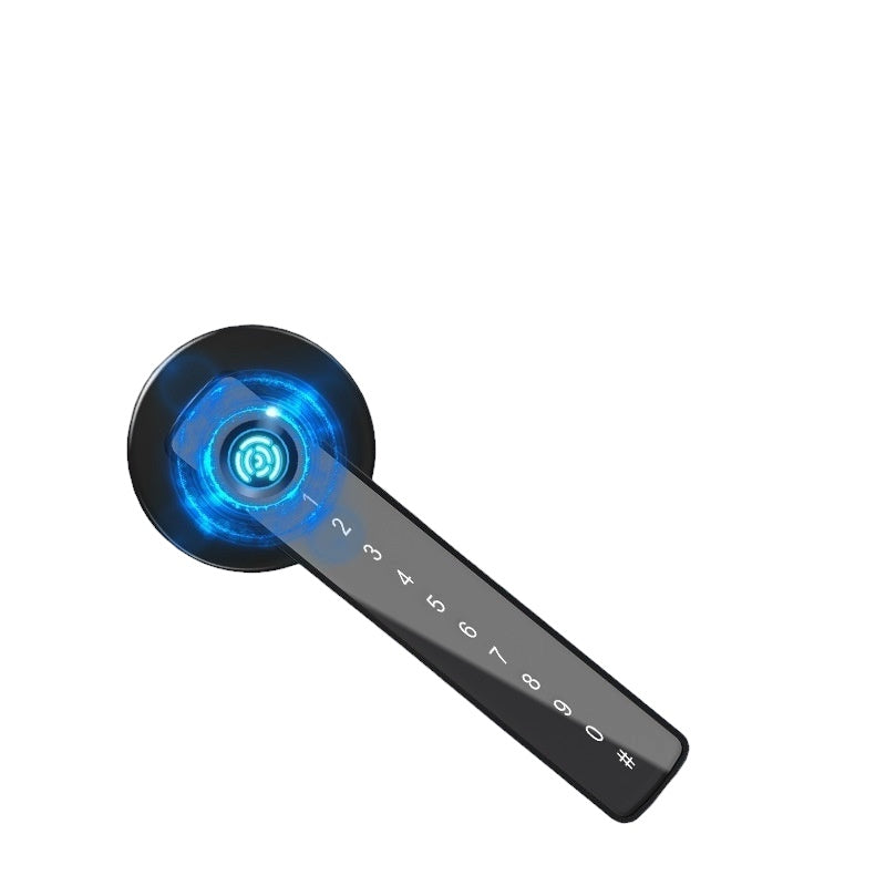 Graffiti Bluetooth Smart Door Lock For Home And Office, With Fingerprint Recognition